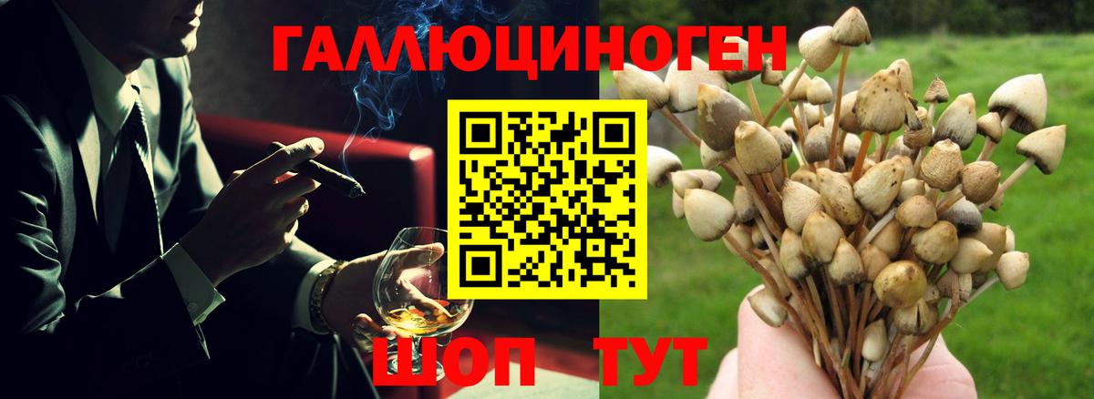 Галлюциногенные грибы MAGIC MUSHROOMS  Вход с VPN  Энгельс 